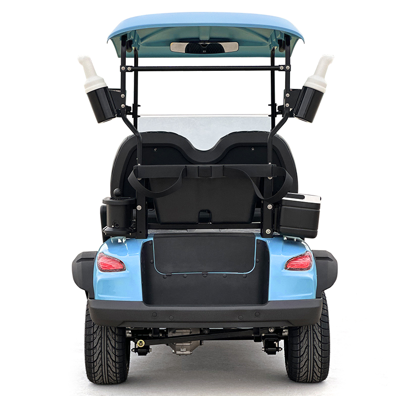 Carrinho de golfe estilo C 2 lugares azul celeste